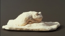 African Bullfrog
