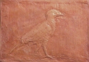Crested Caracara
