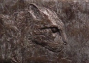 Ocelot Head