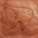 Angel Fish